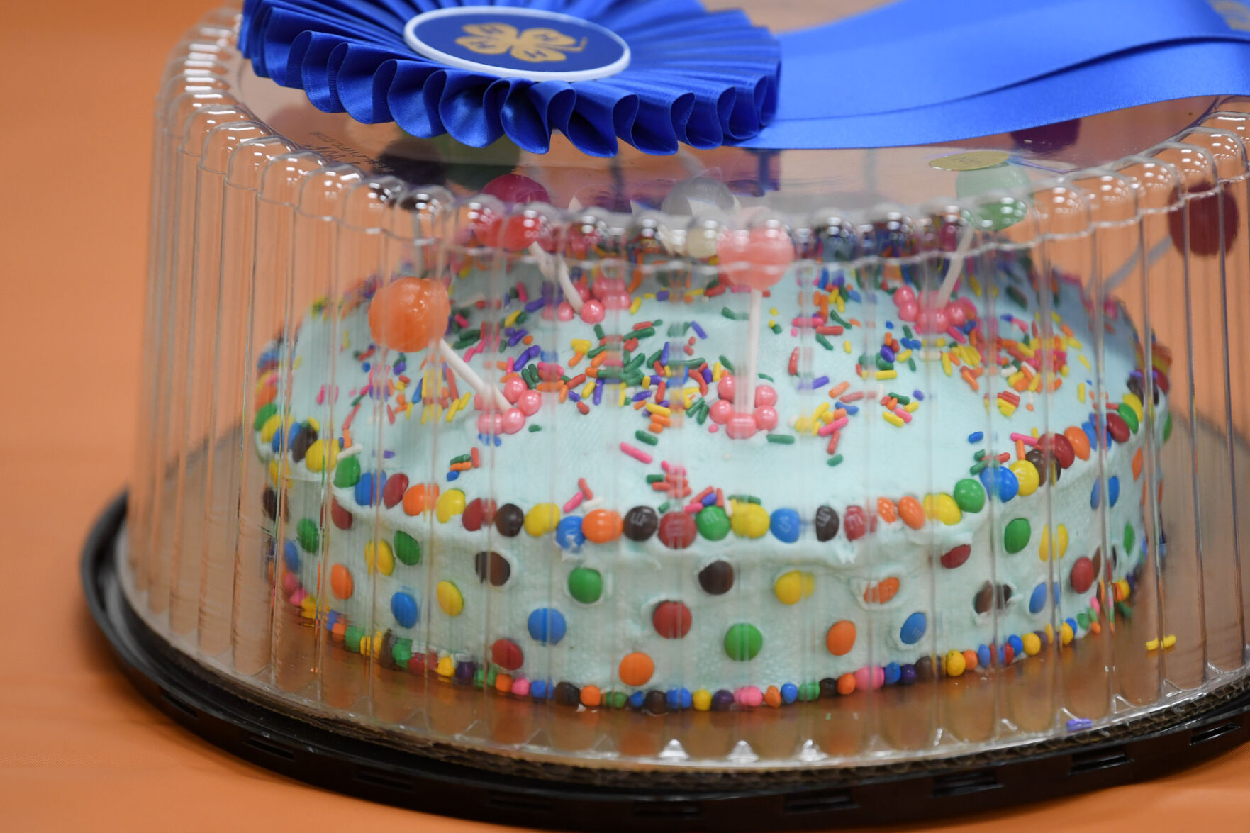 Brazos County 4-H Cake Show and Auction